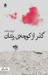 کتاب گذر از کوچه‌ی رندان نوشته  فروزنده عدالت‌